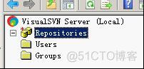 VisualSvn Server介绍_开发人员_05