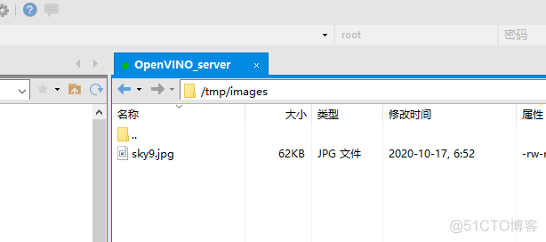 OpenVINO Model Server的服务化部署——step2（天空分割模型）_Server_17