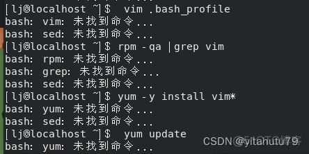 -bash: **: 未找到命令_linux