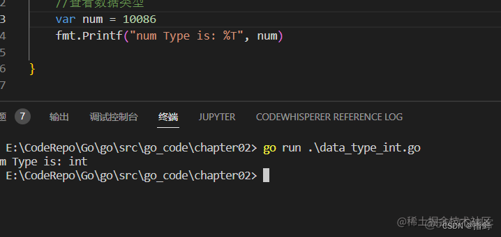 【一Go到底】第四天---数据类型_开发语言_06