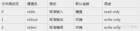 说透IO多路复用模型_文件描述符