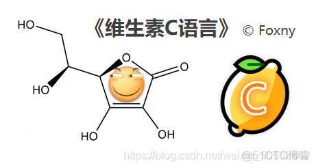 【维生素C语言】第六章 - 指针_i++