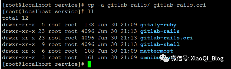 CentOS 7.4搭建Gitlab服务器_git_07