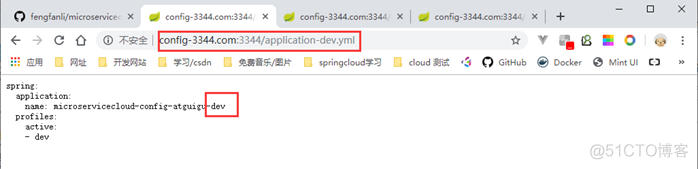 springcloud 学习九、SpringCloud Config分布式配置中心、SpringCloud Config配置实战_spring_06