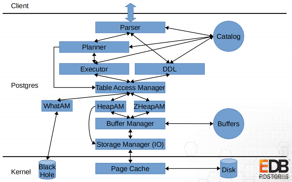 PostgreSQL数据库TableAM——Table scan callbacks_元组