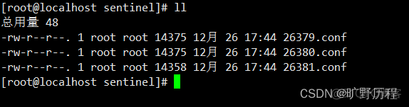 Redis集群系列四 —— 哨兵集群搭建_配置文件_02