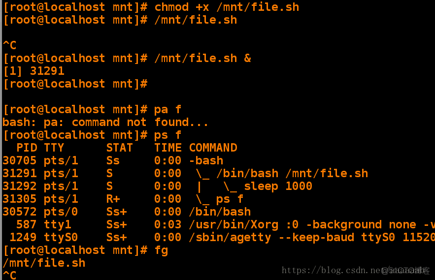 基于linux下的shell变量_vim_02