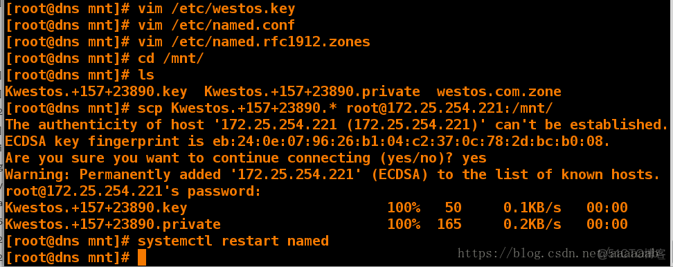 基于Linux下的DNS域名解析服务_DNS_62