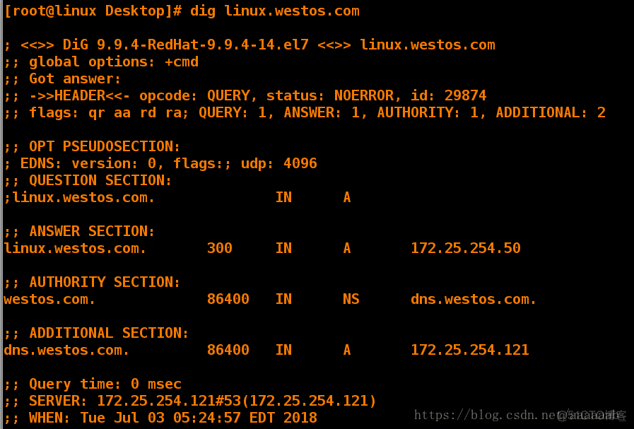 基于Linux下的DNS域名解析服务_配置文件_68