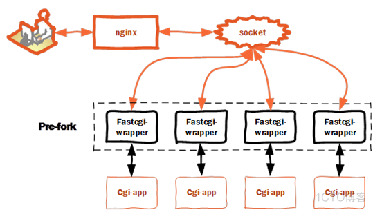 Nginx + CGI/FastCGI + C/Cpp_Web_06