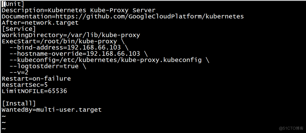 『高级篇』docker之kubernetes基础集群附加功能kube-proxy和kube-dns（36）_配置文件_04