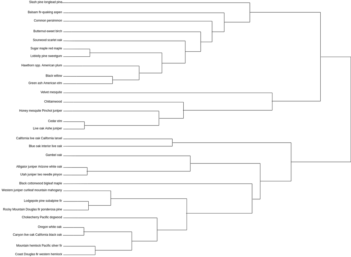 树状图 - Dendrogram_数据_05