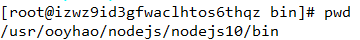 【linux】在linux上安装nodejs_软连接
