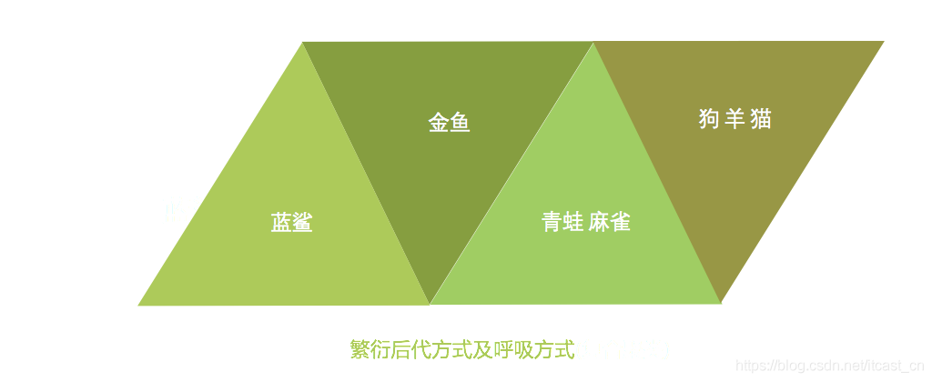 机器学习中入门级必学的算法有哪些？_算法_10