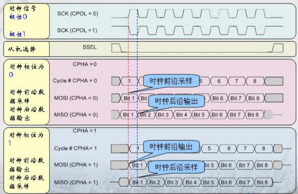 和菜鸟一起学linux总线驱动之初识spi总线协议_数据