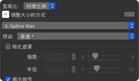 PhotoZoom2023最新免费版无损放大图片软件_PhotoZoom_07