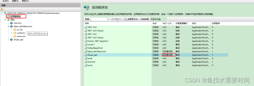 IIS 部署.NetCore_.netcore_03