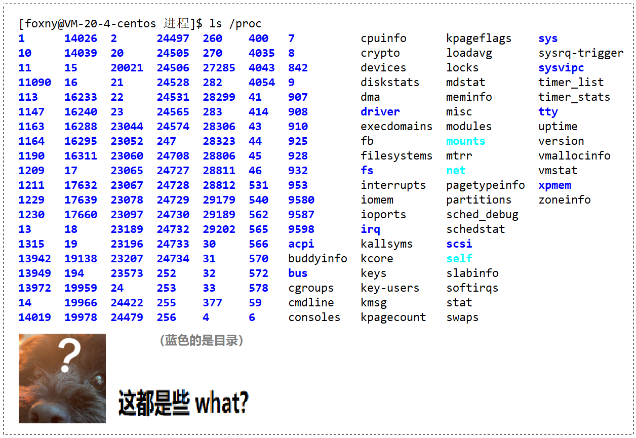 【Linux】进程的概念 | 进程控制块 PCB | task_struct_冯诺依曼架构_21