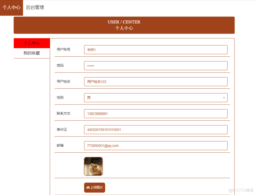 基于Java+SpringBoot+vue+element等动物救助平台设计和实现_java项目系统_11