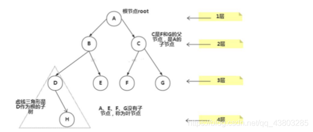 树基础知识_数据结构_04