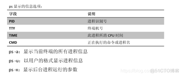 小白使用Linux_优先级_05