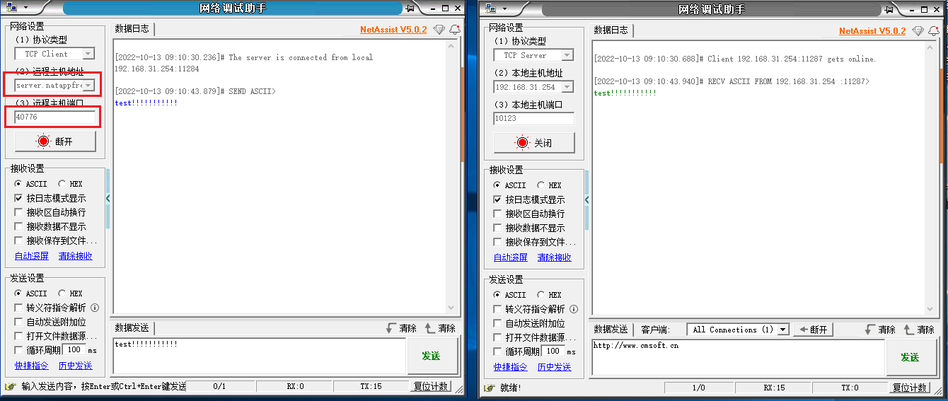 利用natapp实现TCP、UDP内网穿透_TCP_08