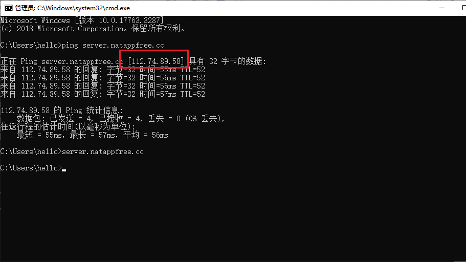 利用natapp实现TCP、UDP内网穿透_内网穿透_09