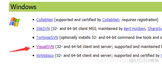SVN 安装以及初步使用（最全步骤）_Server_03