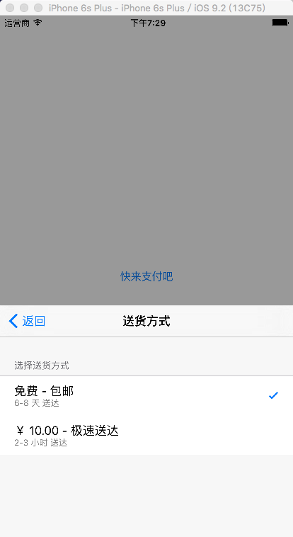 Apple Pay接入详细教程_初始化_06