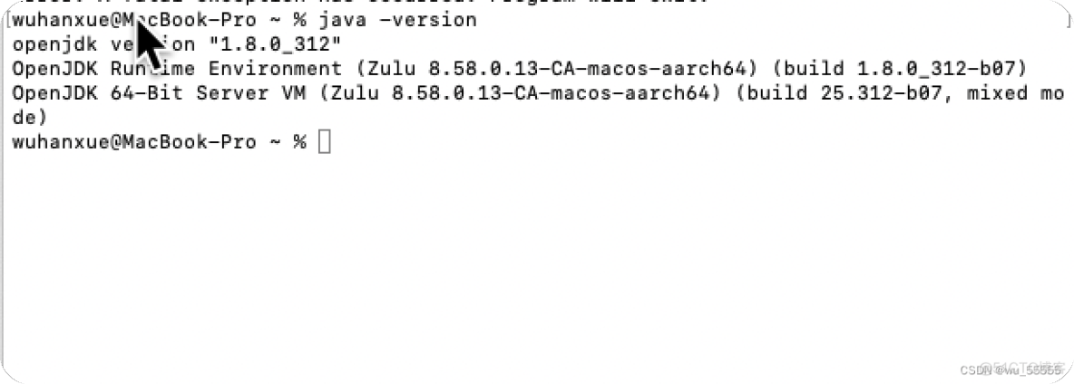 mac pro M1(ARM)安装：jdk｜java｜动态切换jdk版本_java_07