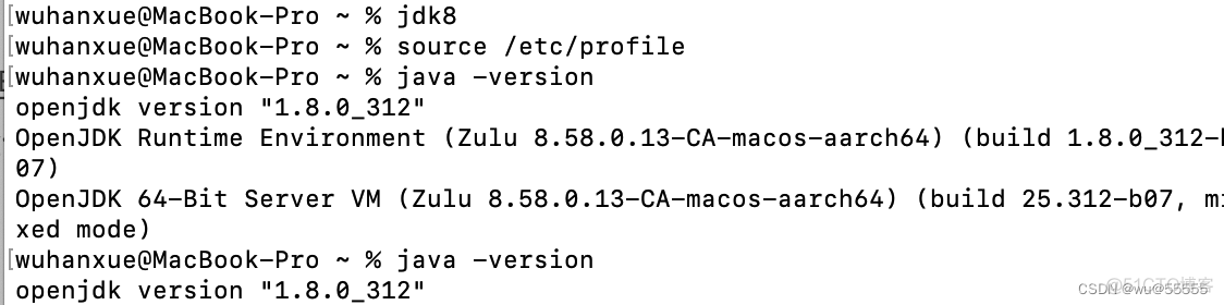 mac pro M1(ARM)安装：jdk｜java｜动态切换jdk版本_macos_09