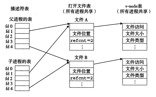 【深入浅出】《深入理解计算机系统》CSAPP_数据_08