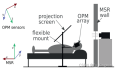使用光泵磁力仪（OPMs）非接触测量视网膜活动