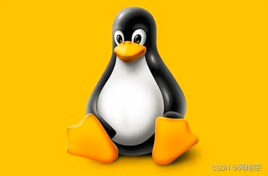 Linux系列 目录和文件管理_linux_08