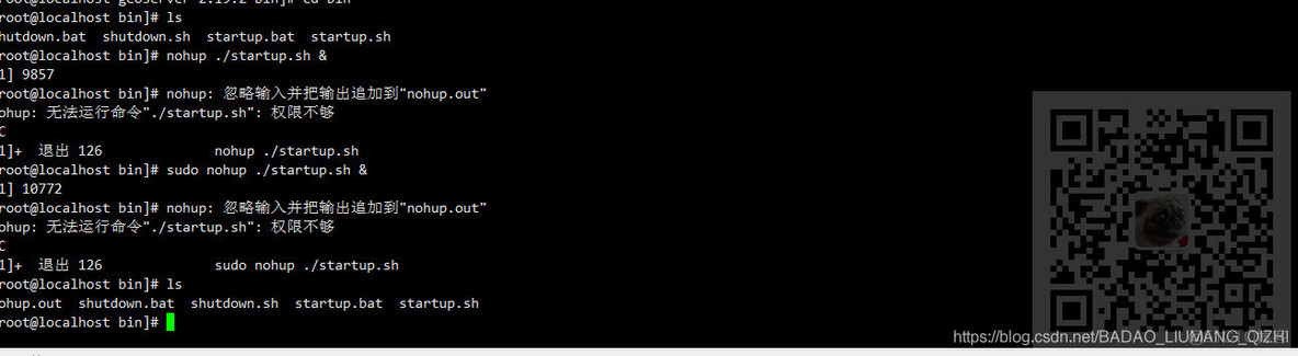 Linux中执行sh文件时提示:nohup: 无法运行命令“./startup.sh“: 权限不够_linux