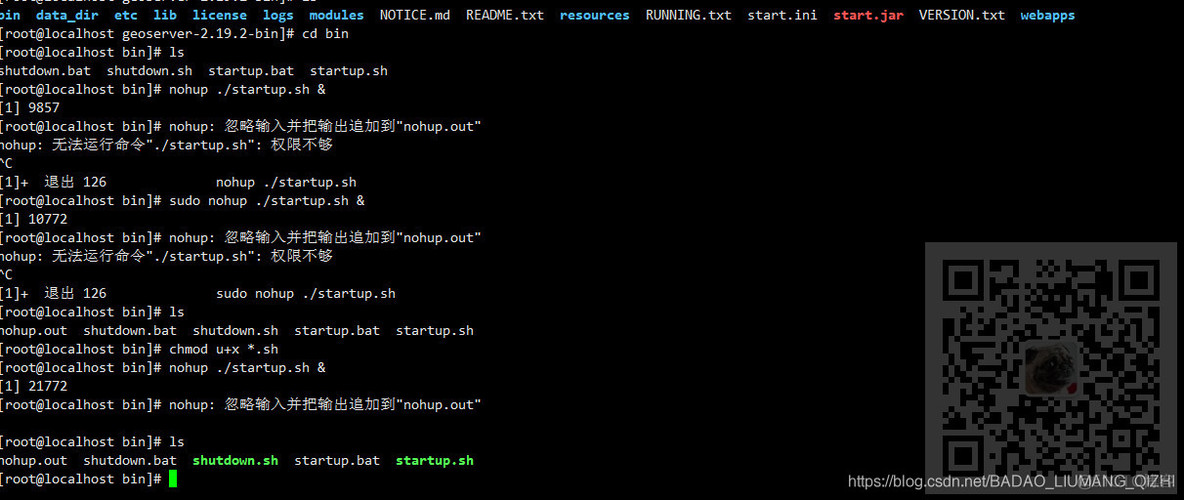 Linux中执行sh文件时提示:nohup: 无法运行命令“./startup.sh“: 权限不够_公众号_02