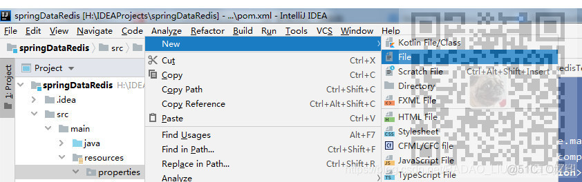 SpringDataRedis环境搭建(详细图文教程)_SpringDataRedis_03