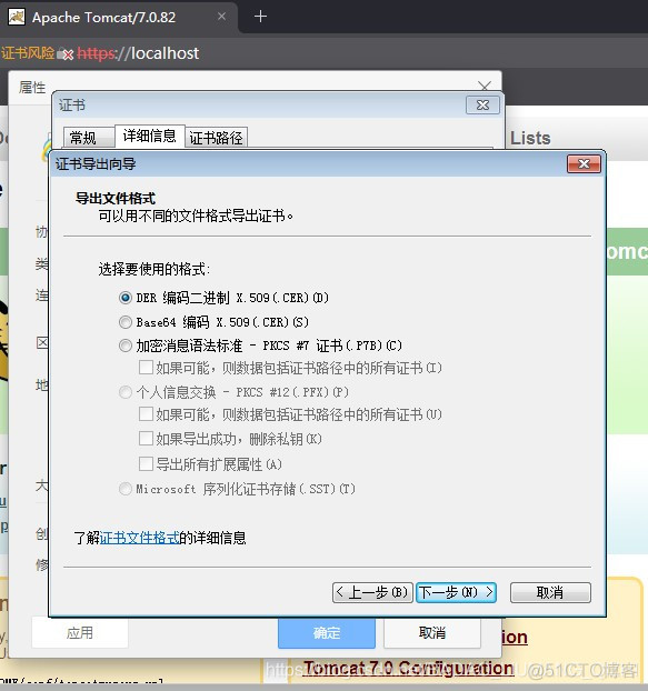 Windows下配置Tomcat使用https协议_tomcat_12