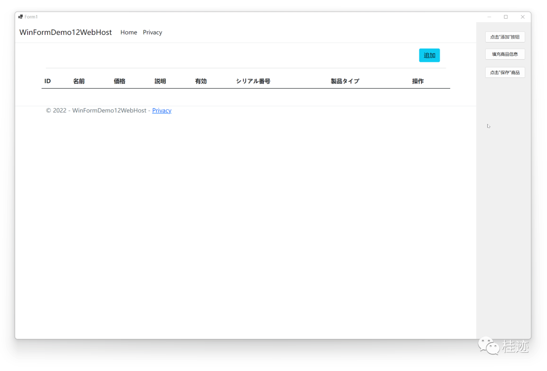 WinForm（十三）WebView2_WinForm