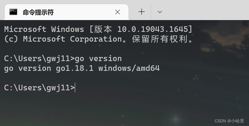 【编译器】VSCode配置Go语言开发环境_Go_03