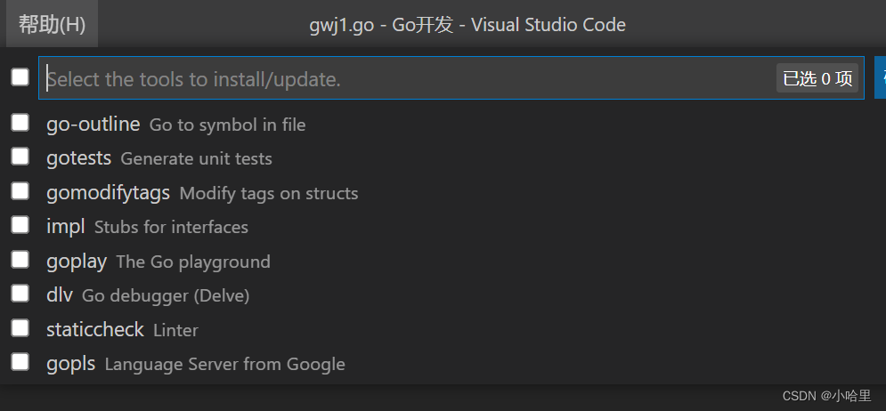 【编译器】VSCode配置Go语言开发环境_go_05