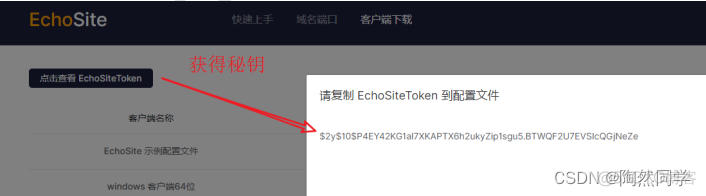 【畅购商城】内网穿透之EchoSite_服务器_05