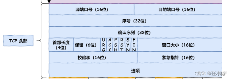 计算机网络——HTTP网络访问全流程_IP_22