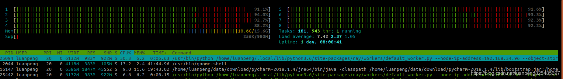 python分布式多进程框架 Ray_分布式_03