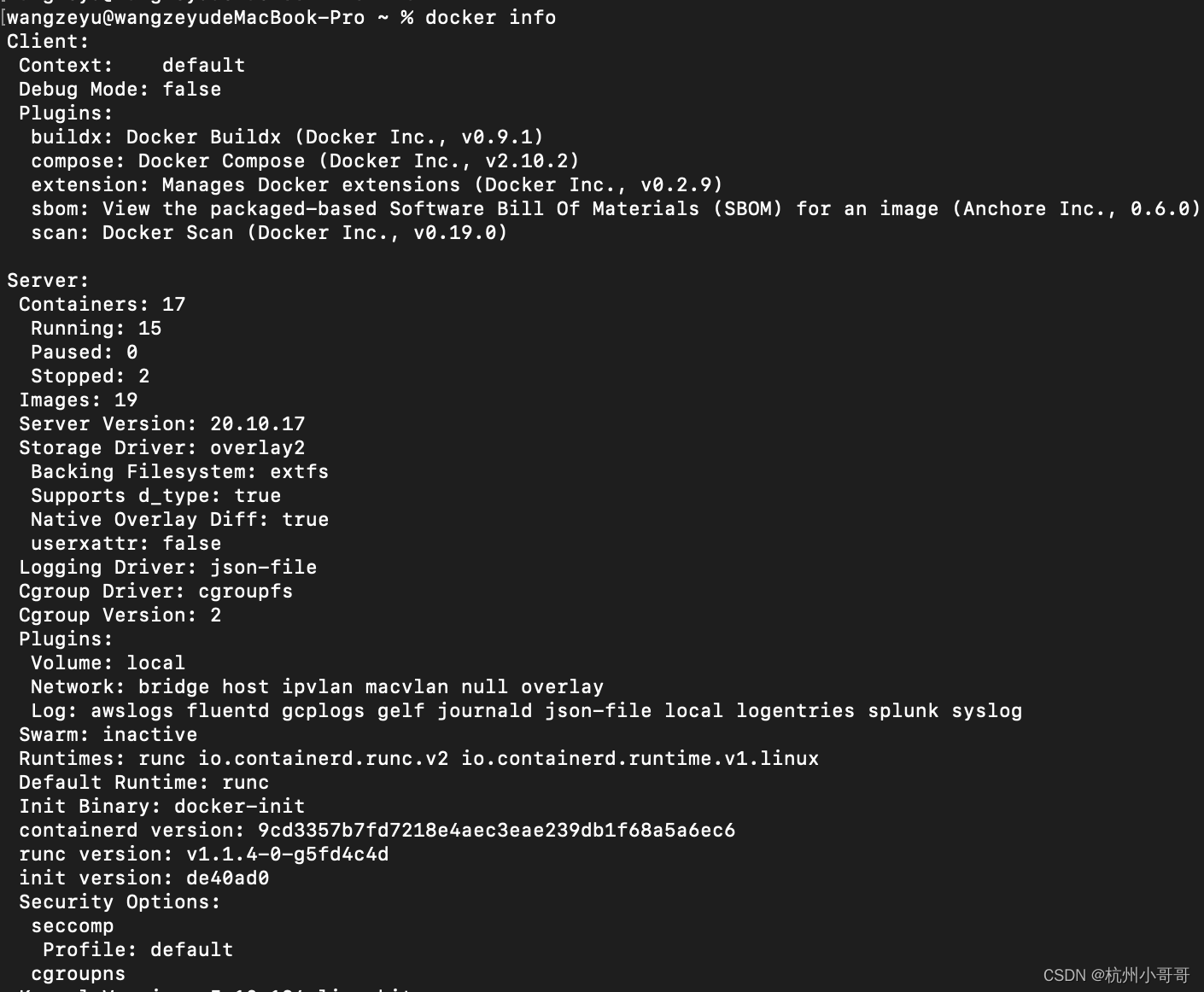 docker info和docker --help_servlet_02