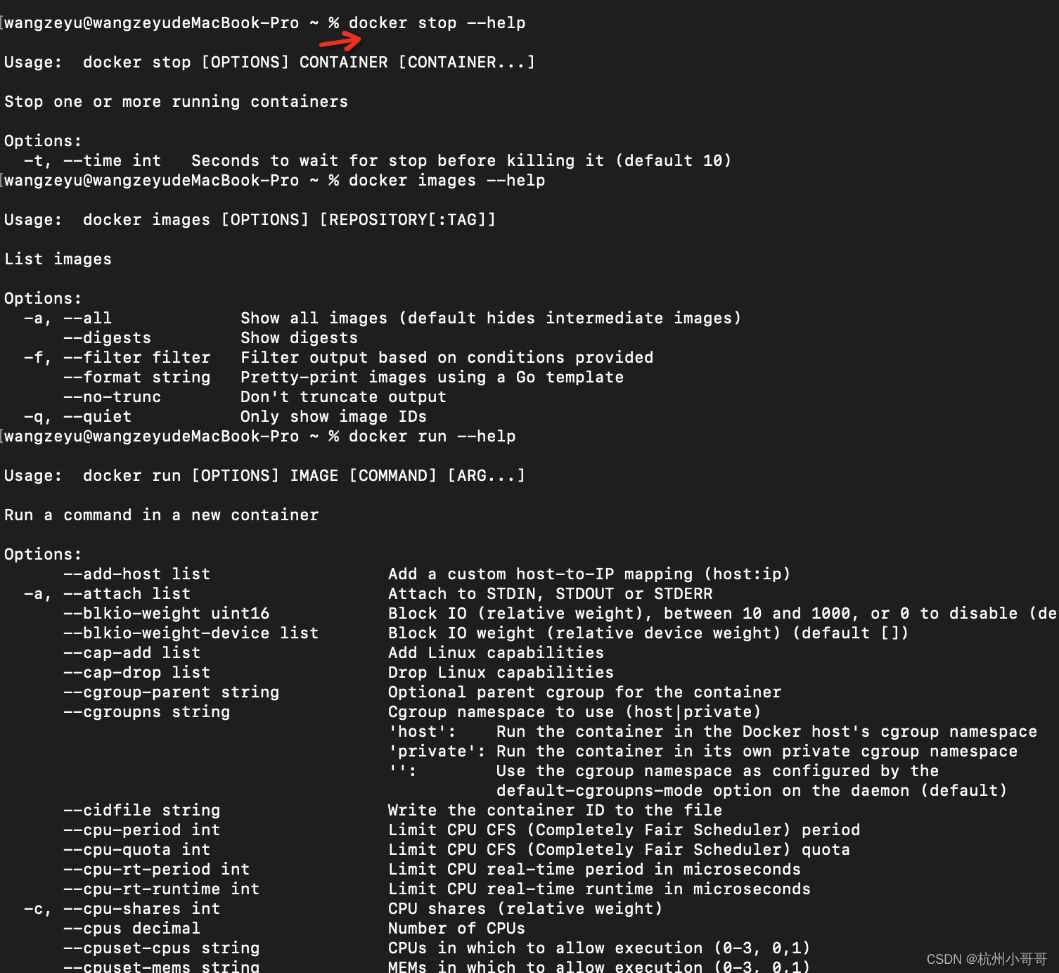 docker info和docker --help_servlet_03