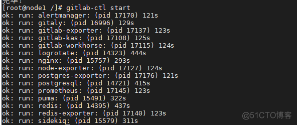 GitLab安装使用(SSH+Docker两种方式)_ssh_08