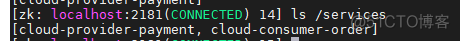 Zookeeper服务注册与发现_spring cloud_14