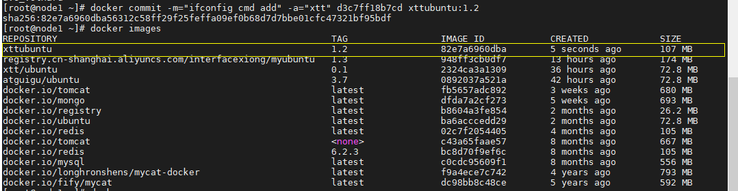 Docker本地镜像发布到私有库_私有库_07