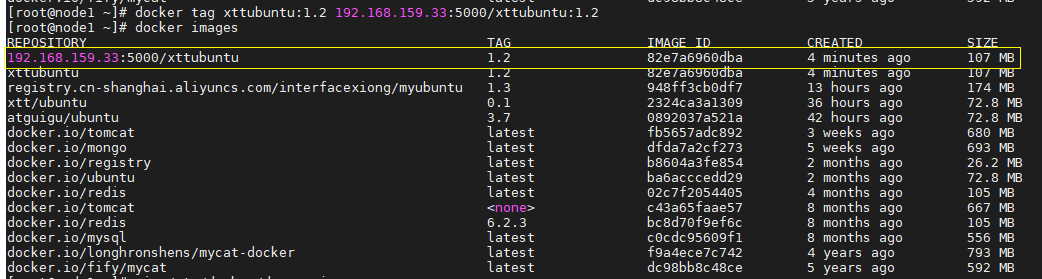 Docker本地镜像发布到私有库_私有库_10